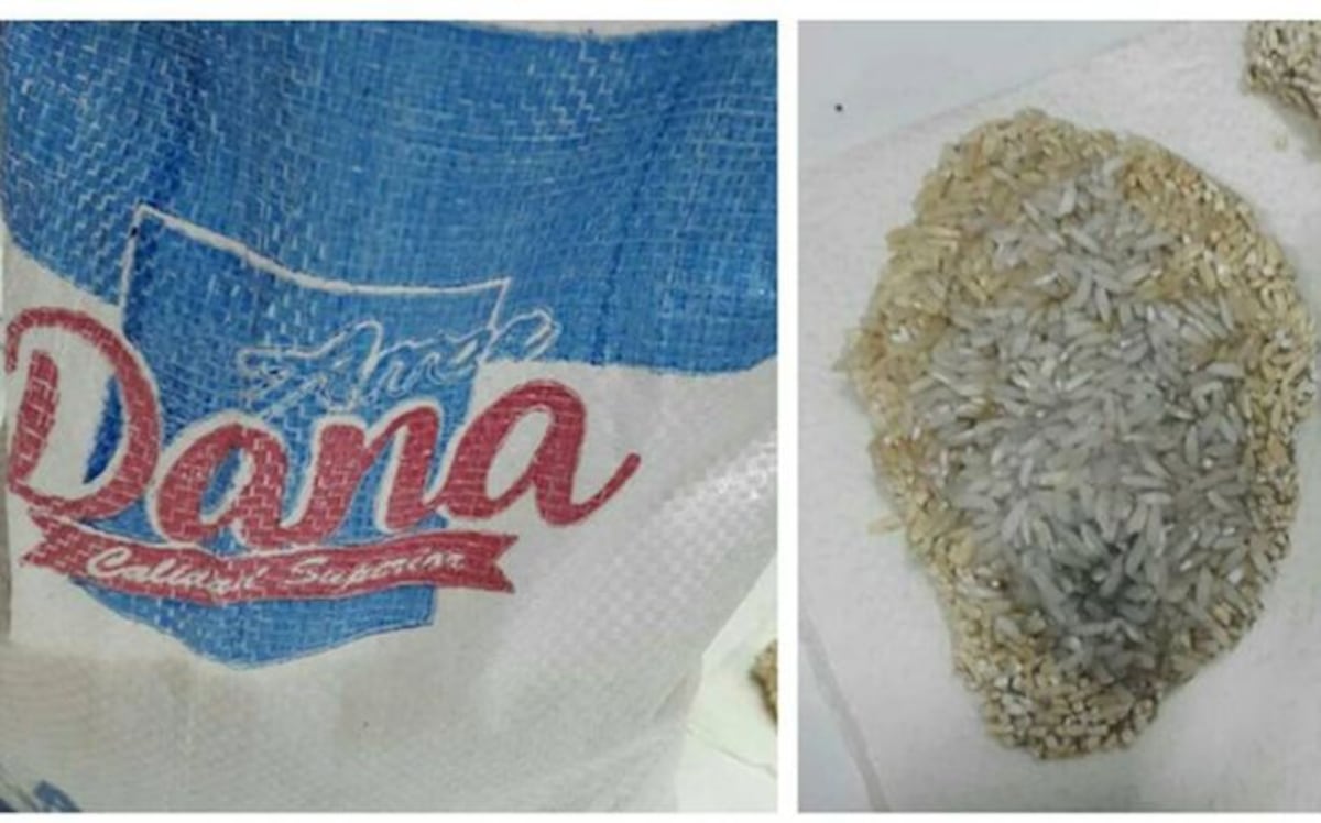 NO HA INGRESADO A PANAMÁ. Arroz contaminado con excremento y para consumo animal