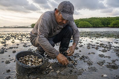 Tragedia en Aguadulce: hombre muere fulminado por un rayo mientras recolectaba almejas