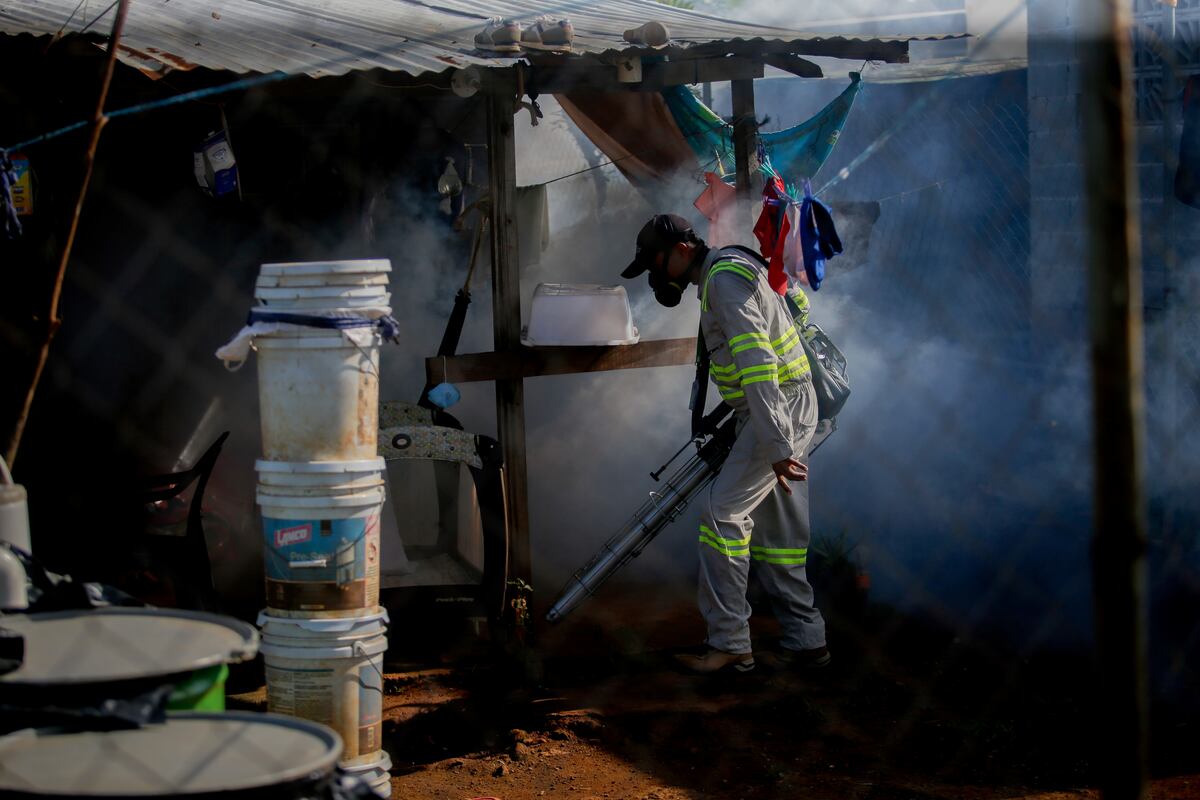 Lamentable. Minsa reporta primera defunción por dengue en San Miguelito