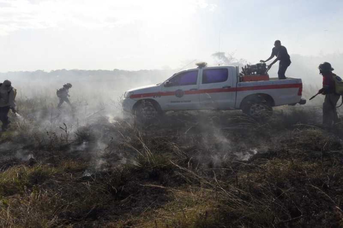 Incendios de herbazales sigue siendo un problema 