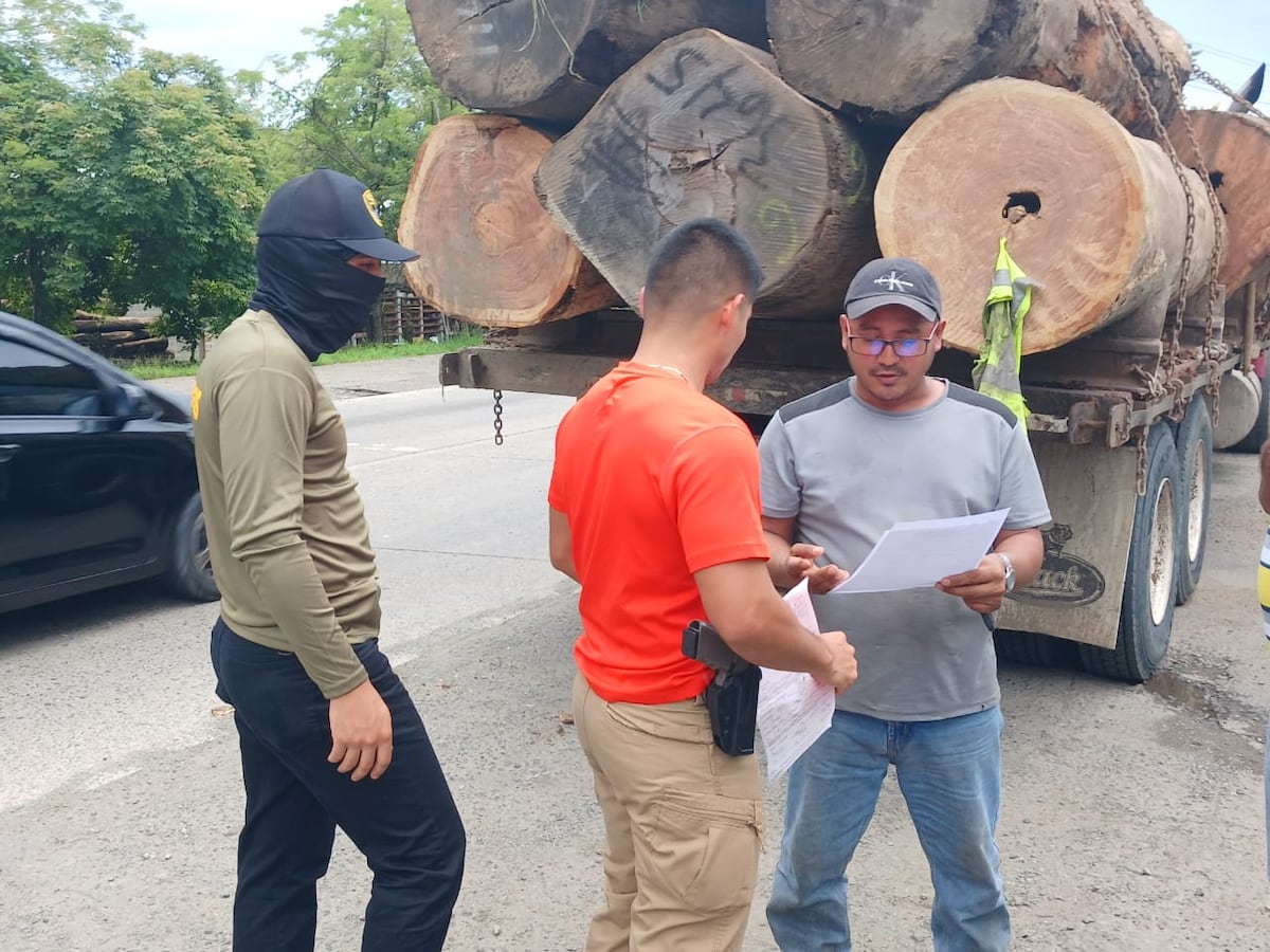 Autoridades Panameñas Retienen Camión con Madera de Almendro por Irregularidades