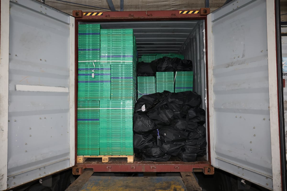 ¿Es el motivo de la ola de muertes violentas? Cargamentos de 2 mil kilos de droga ‘fantasma’ en puertos de Panamá apuntan a posible vínculo con homicidios