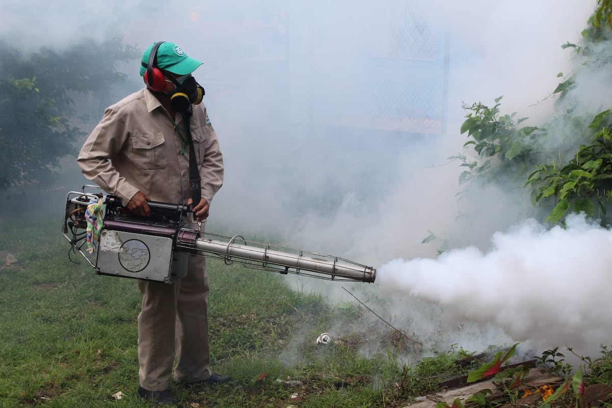 Aumentan los casos de dengue en el corregimiento de Belisario Porras en San Miguelito