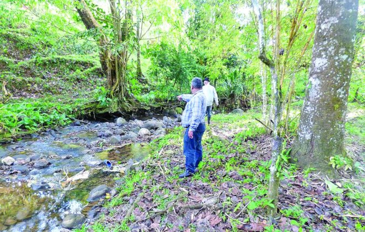 HORROR. Hallan cuerpo 'putrefacto' de hombre desaparecido en Bugaba 