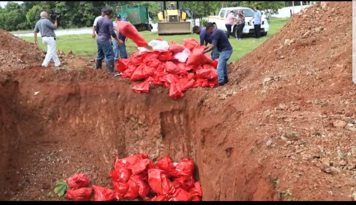 ¿Cristiana sepultura? Redes arden por video borrado del Municipio de Panamá