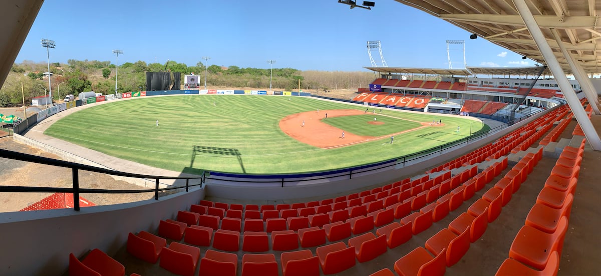 Estadios de béisbol podrían recibir un baja cifra de aficionados. Boletos subirán de precio