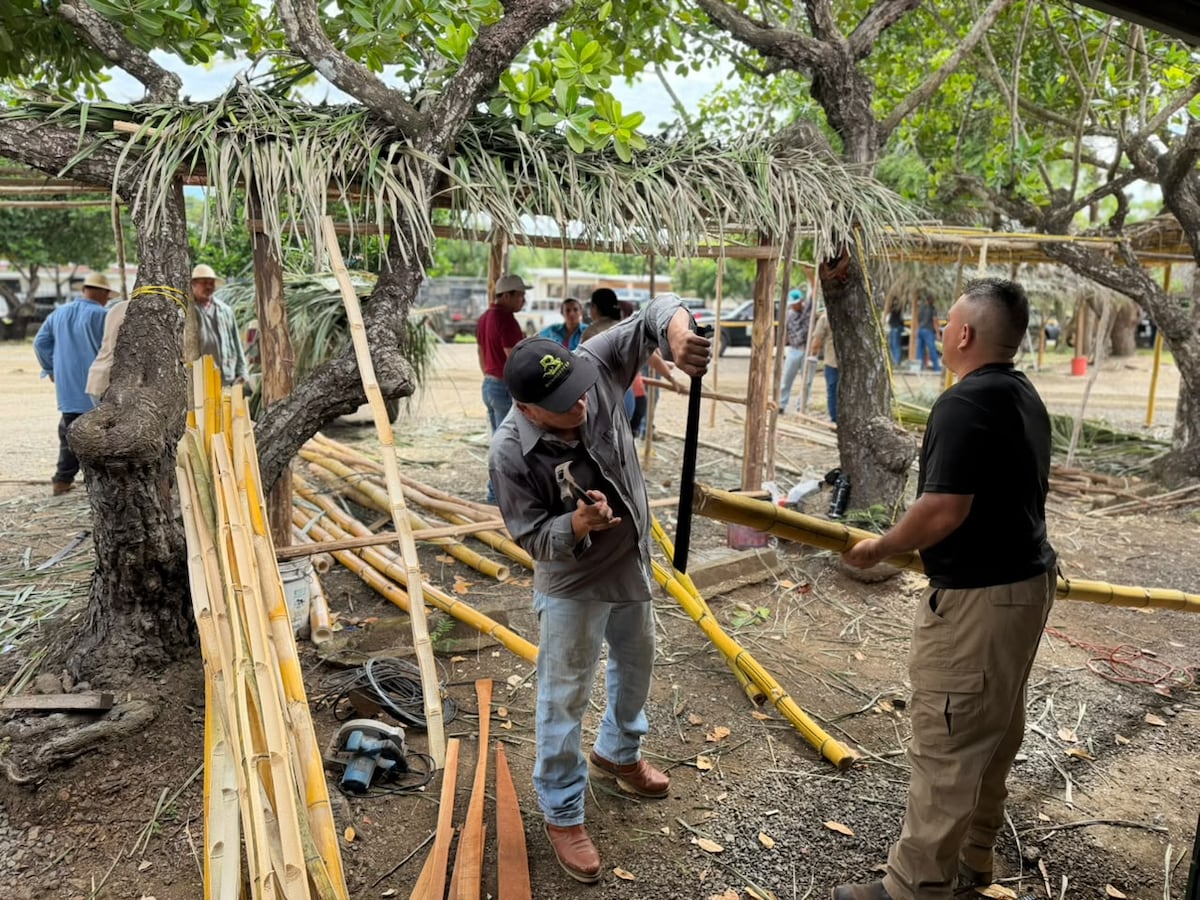 Viene la Feria Agropecuaria que reunirá a productores y familias este viernes en Los Santos