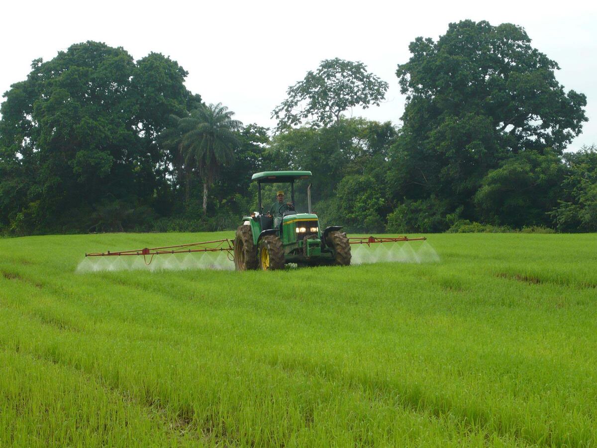 Se unen para activar el sector Agro en el país