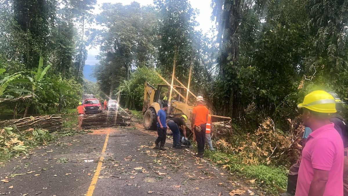 Limpieza, motosierras y retroexcavadora: así atiende el MOP las emergencias en Bocas del Toro