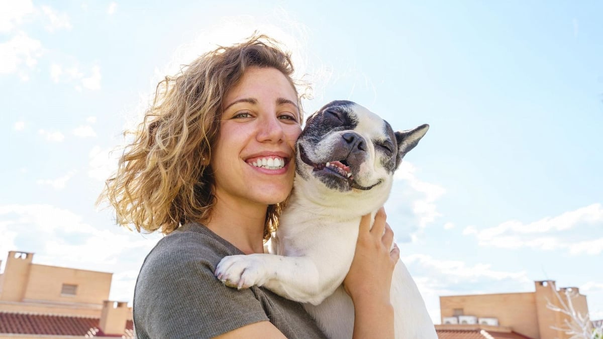 Se viene el hospital de animalitos: Una obra millonaria para consentir a las mascotas