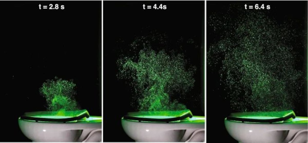 Respiramos orine y hasta excrementos en baños públicos, confirma un estudio