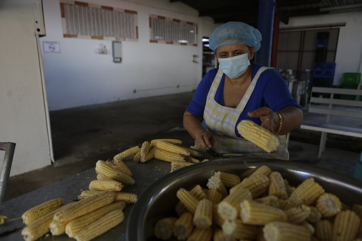 Comedor solidario Santa María del Camino lucha contra el hambre