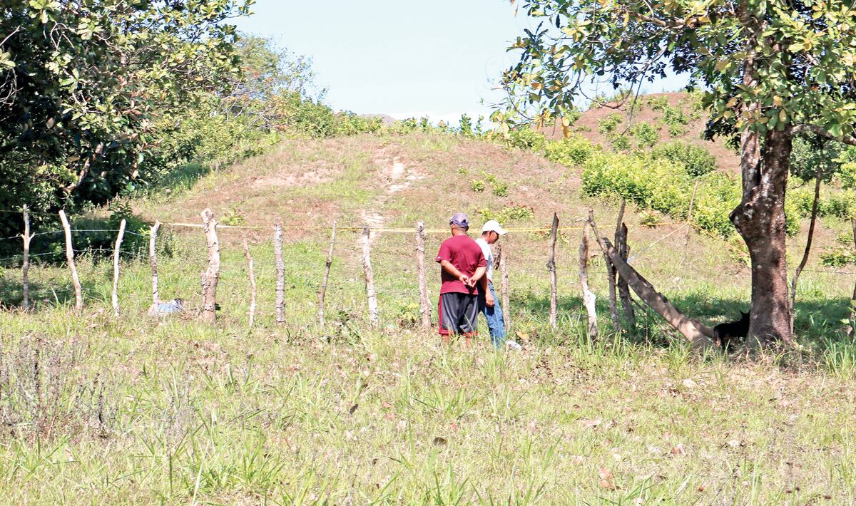 Se llevó una sorpresa cuando caminaba; miró y era un hombre sin vida en Veraguas 