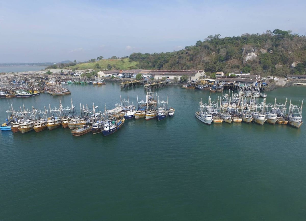 Crisis en la Mesa Técnica de Pesca: sector suspende participación y exige explicaciones al MIDA