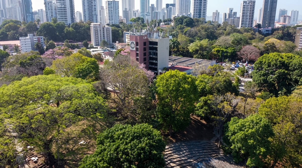 Universidad de Panamá entra a red clave de derechos humanos