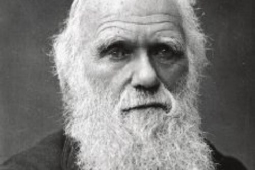 Hoy se cumplen 141 años de la muerte  del  científico inglés Charles Darwin