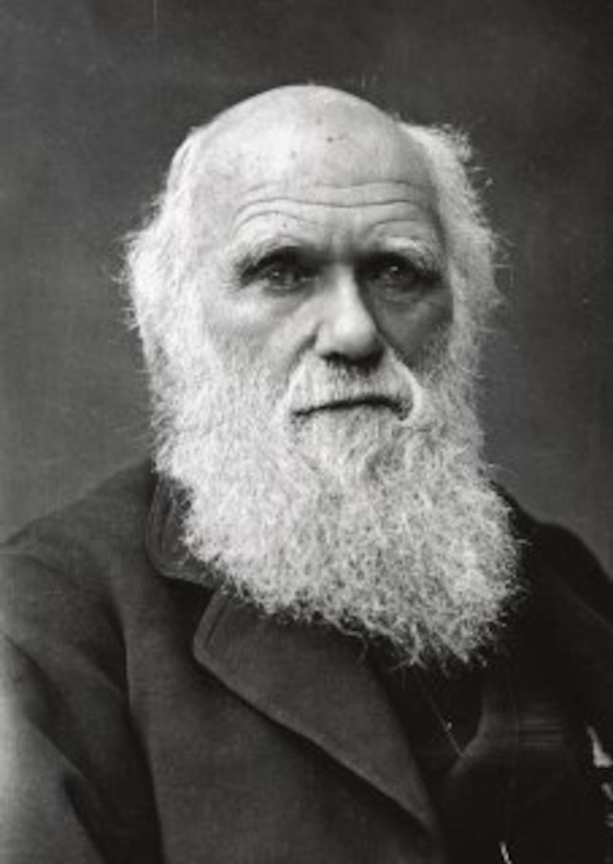 Hoy se cumplen 141 años de la muerte  del  científico inglés Charles Darwin