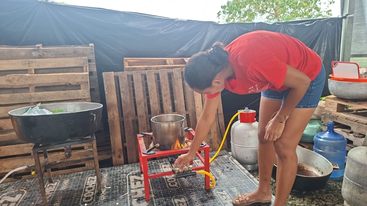 Exclusiva. ‘Tener comida y dónde dormir no basta’: Daniel Pérez revela la otra cara del albergue de Isla Cañas tras el terremoto