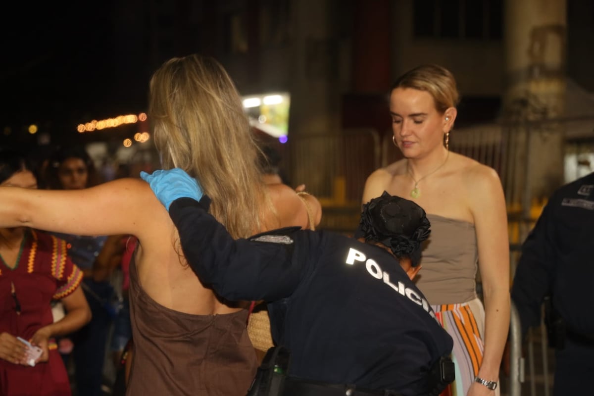 Carnaval bajo lupa: 530 aprehendidos marcan los operativos de vigilancia en todo el país