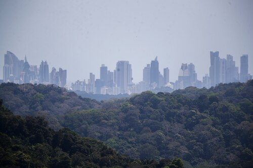 Panamá lanza un proyecto para desarrollar un mercado de carbono