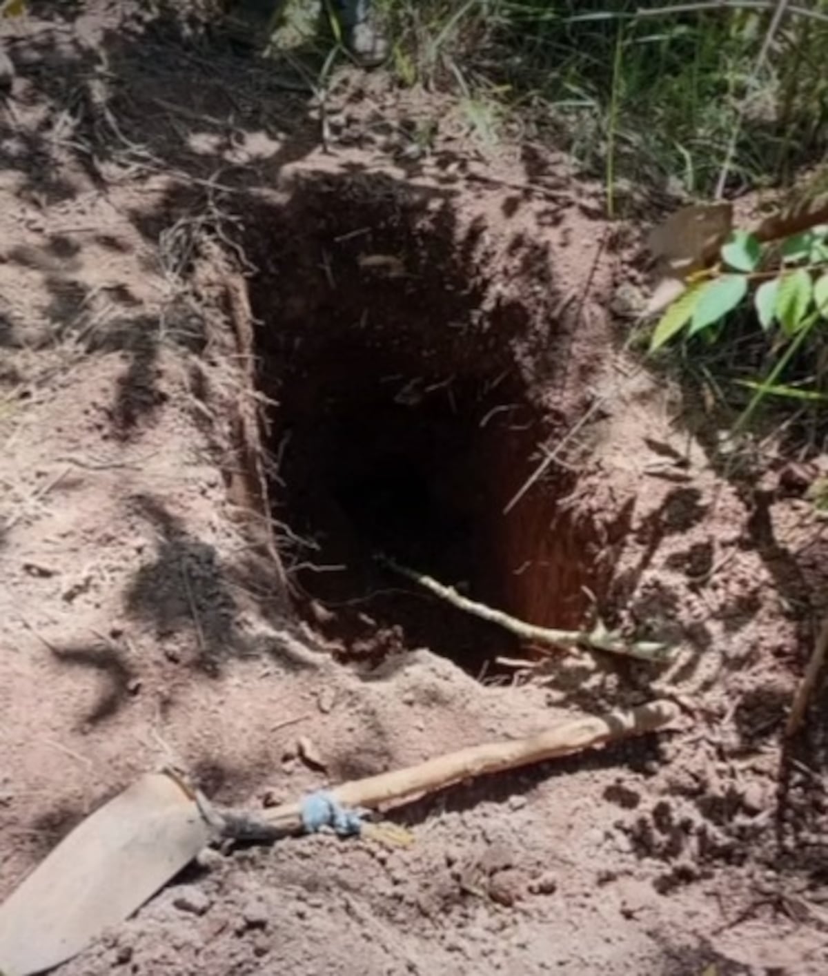 Niña de 5 años murió y fue enterrada en el patio sin avisarle a su madre