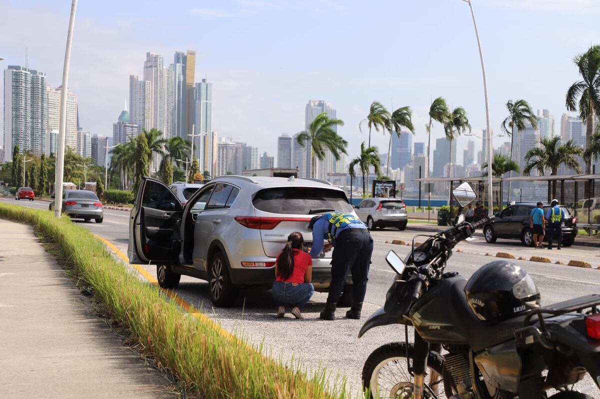 Si circula con placa vencida será sancionado con 50 palos