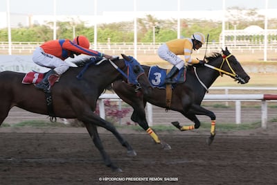 Hipódromo Presidente Remón activa tres días de pura adrenalina