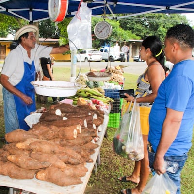 IMA anuncia Agroferias para el 14 y 15 de septiembre