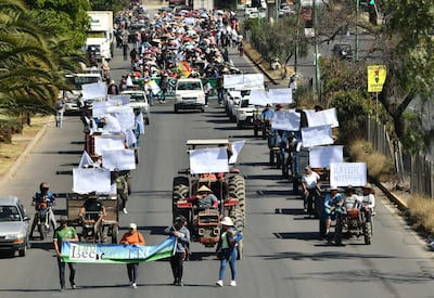 Bolivia pide a la CIDH mirar la crisis completa tras casi un mes de bloqueos