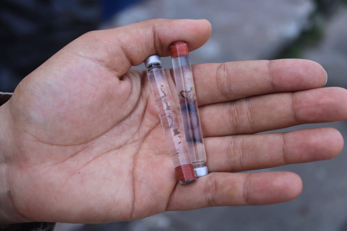 ¡OJO CON ESTAS CIFRAS! Minsa reporta miles de casos y 63 muertes por influenza