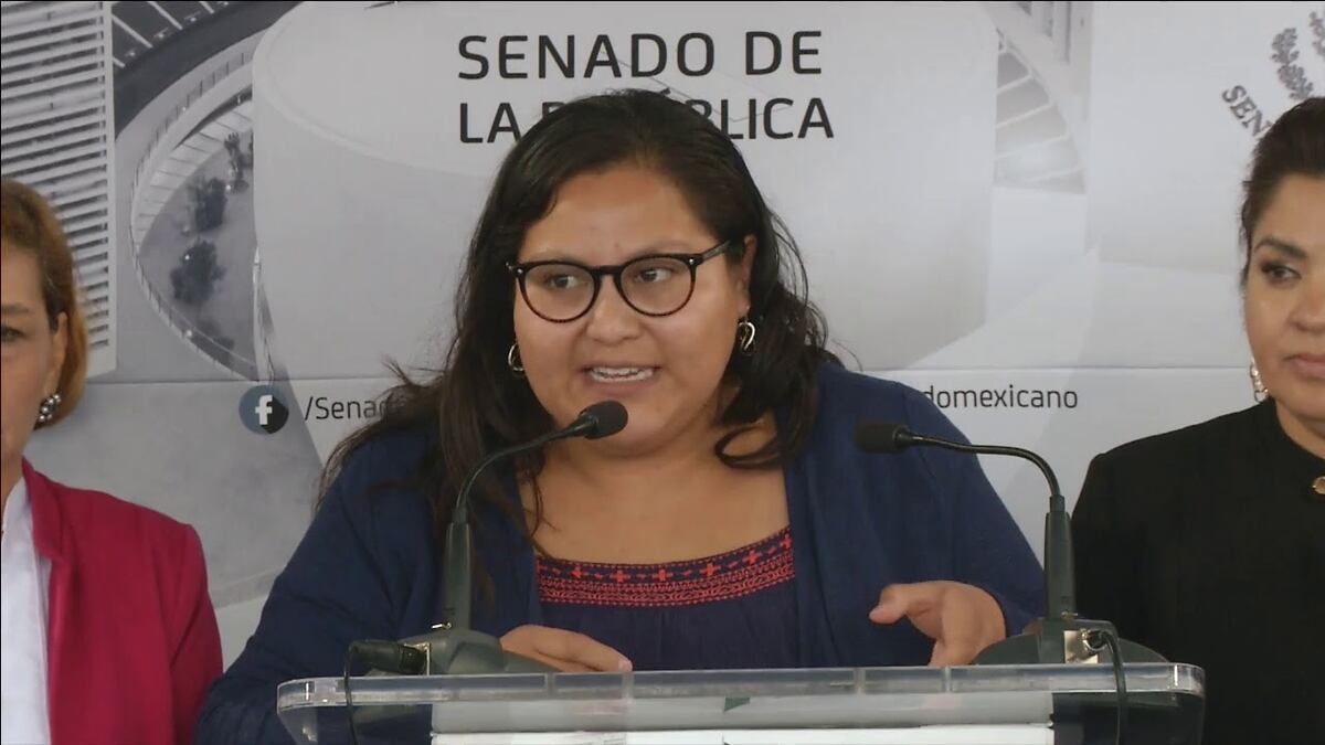 Senadora mexicana Citlalli Hernández recibe un libro bomba que se activó en las instalaciones del Senado 