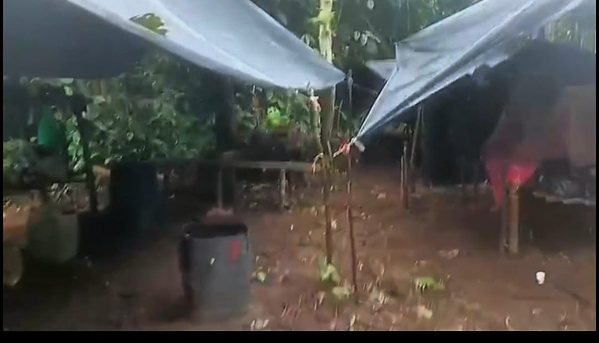 21 colombianos y 2 panameños son capturados en Darién en dos operativos