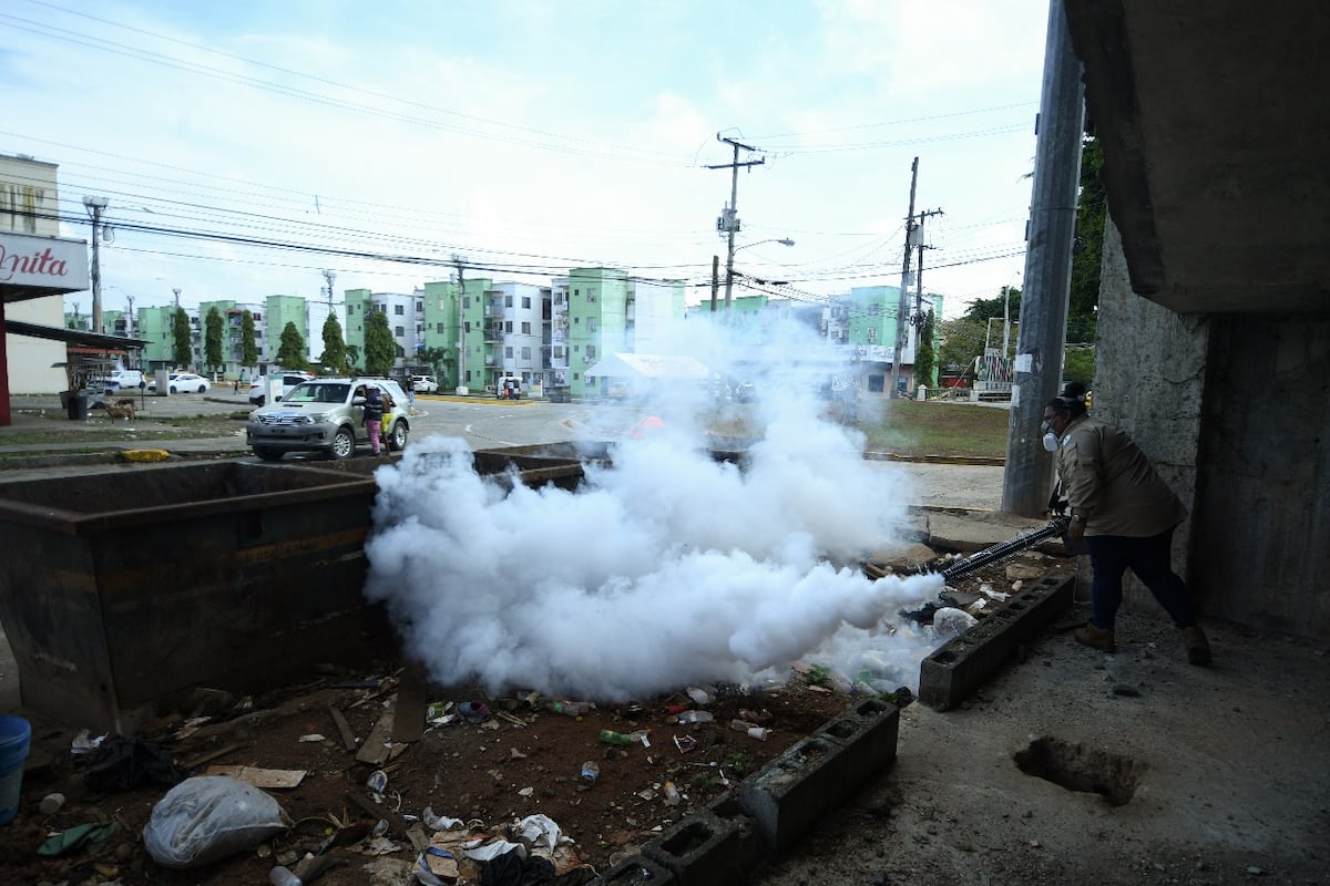 Ministerio de Salud inspecciona criadero de mosquitos en Punta Pacífica tras accidente