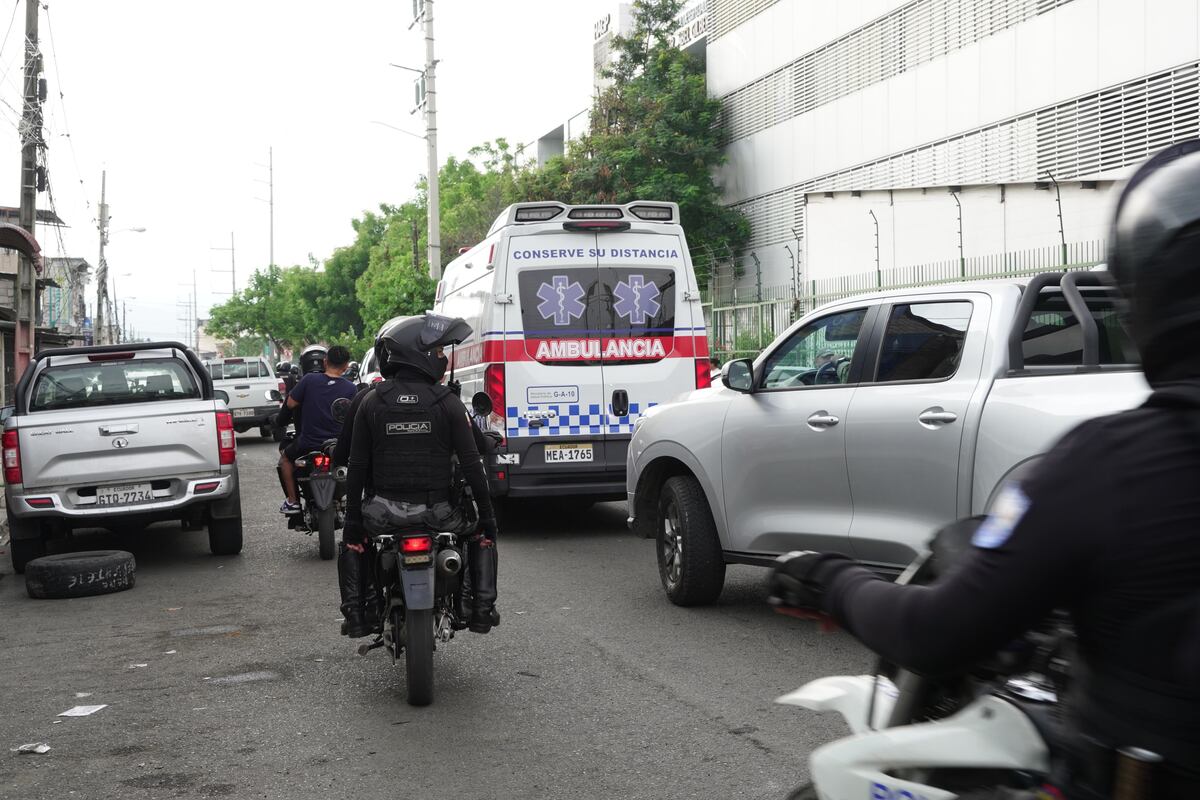 Bebé es hallada sola tras el asesinato de su madre