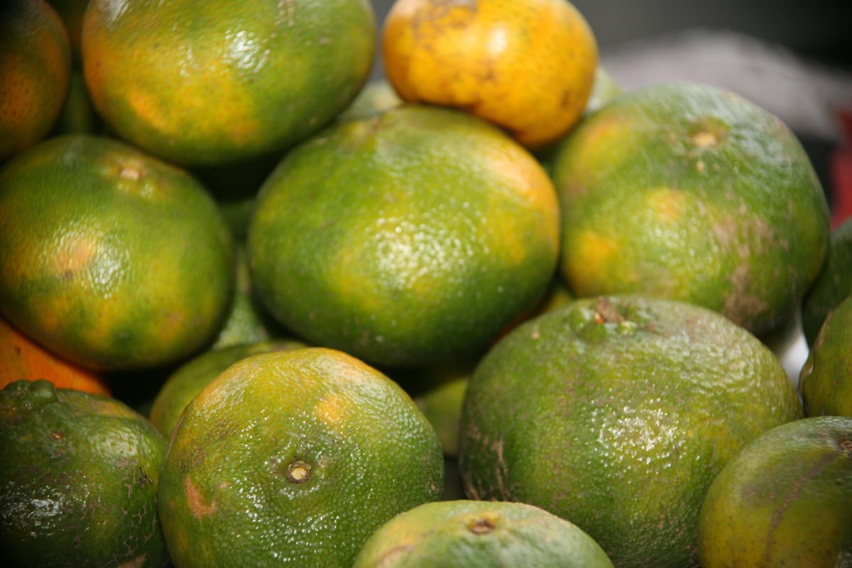 Sácale el jugo a las frutas. Chequee rica receta