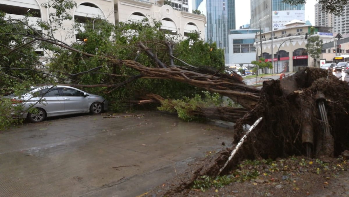 La tormenta de la tarde de este jueves hace sus estragos en Panamá. Fotos y videos