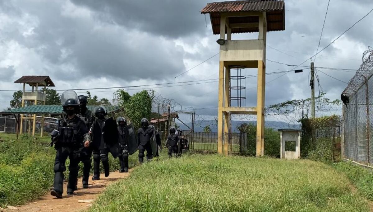 Privados de La Joya estaban armados en sus celdas