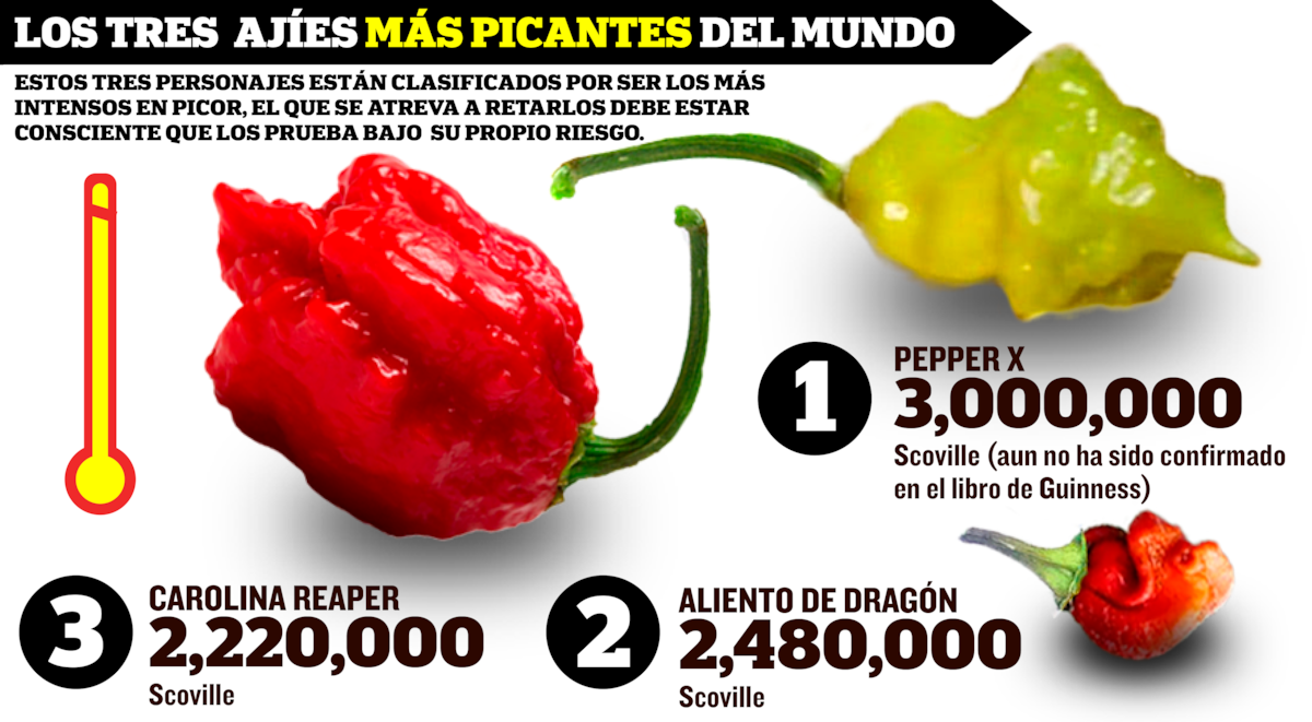 La escala Scoville, el cuadrilátero de los ajíes más picantes del mundo