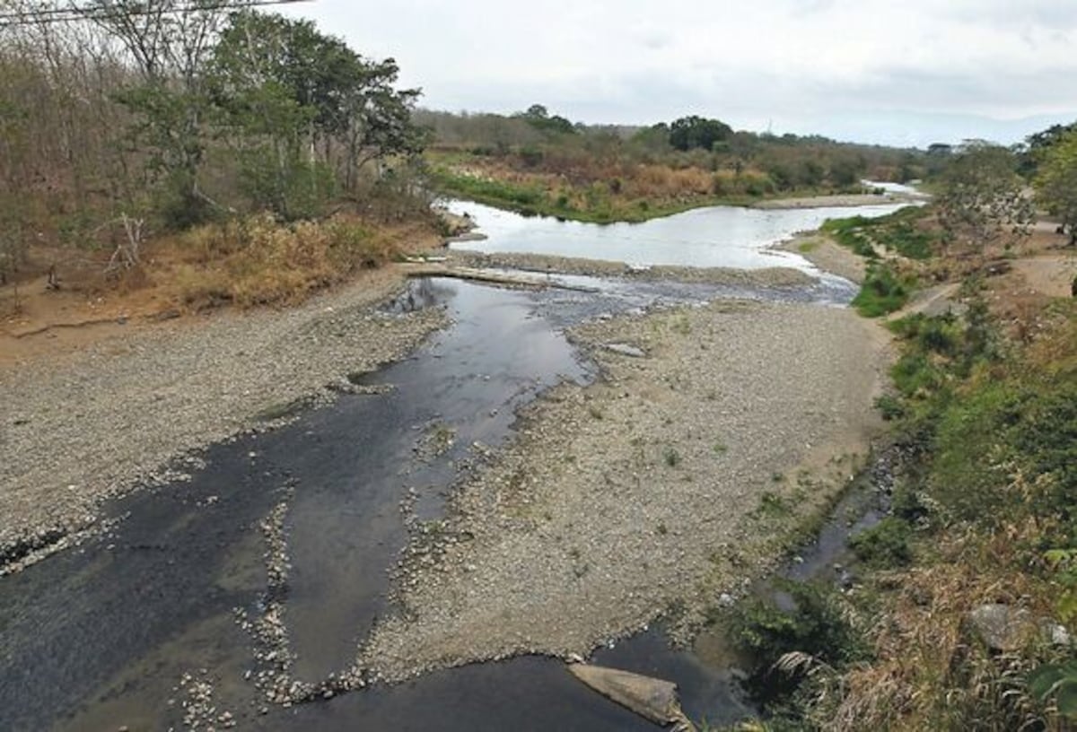 Los productores agropecuarios se preparan para enfrentar sequía