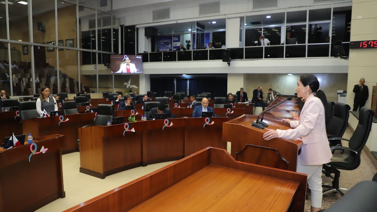 Asamblea Nacional respalda transferencia de centros artísticos al Ministerio de Cultura