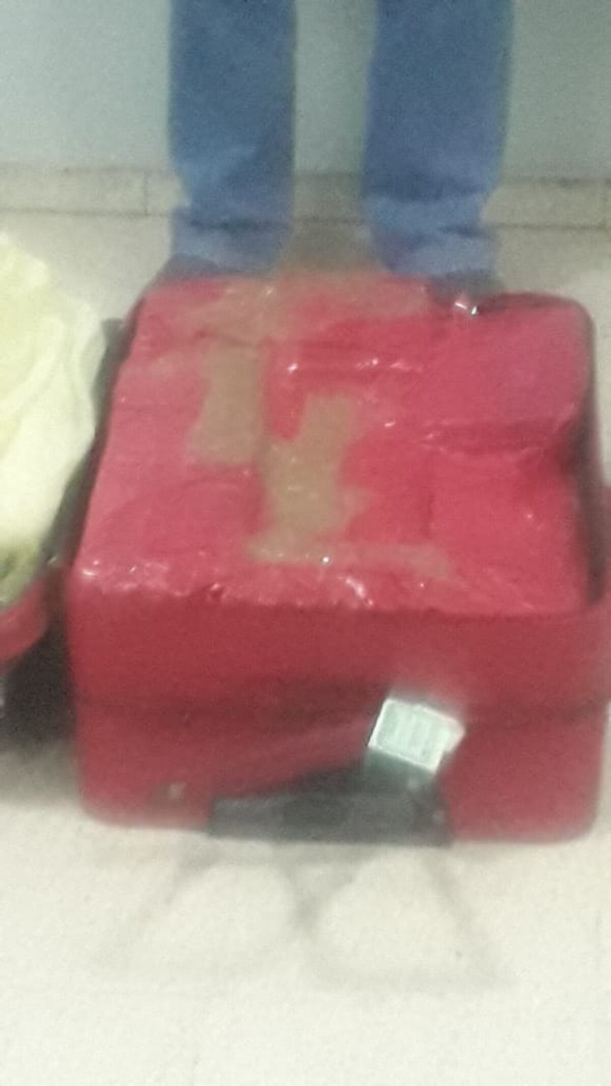 Pillan a mula con 78 paquetes de droga en la Terminal de Albrook