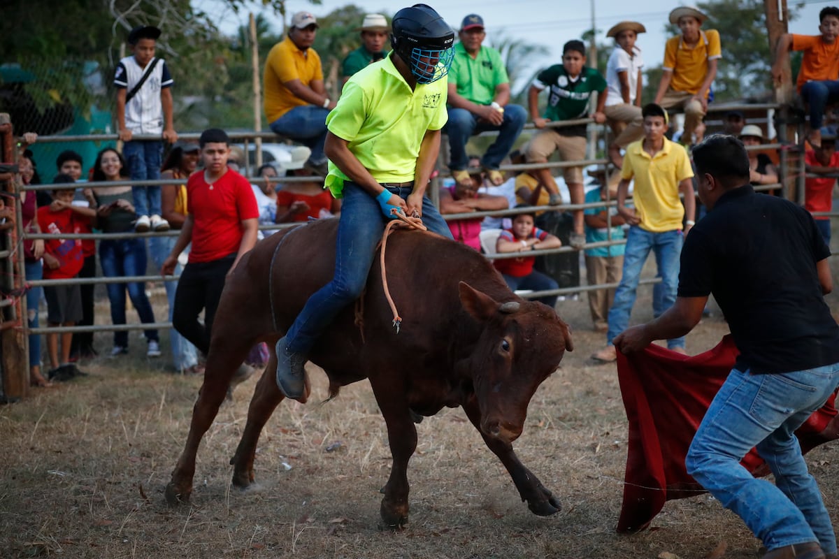 Fuerza y rapidez para montar toros, atracción del Festival Folclórico Nacional de La Mitra