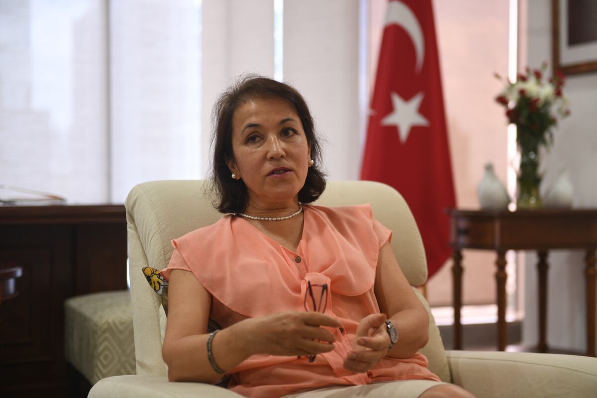 Entérate lo que dijo la embajadora de Turquía en Panamá  Gülhan Ulutekin  sobre las novelas de su país