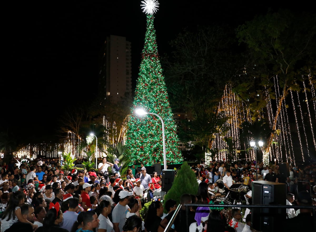 AGENDA CULTURAL: Este jueves bazar y concierto de Navidad en el Parque Omar