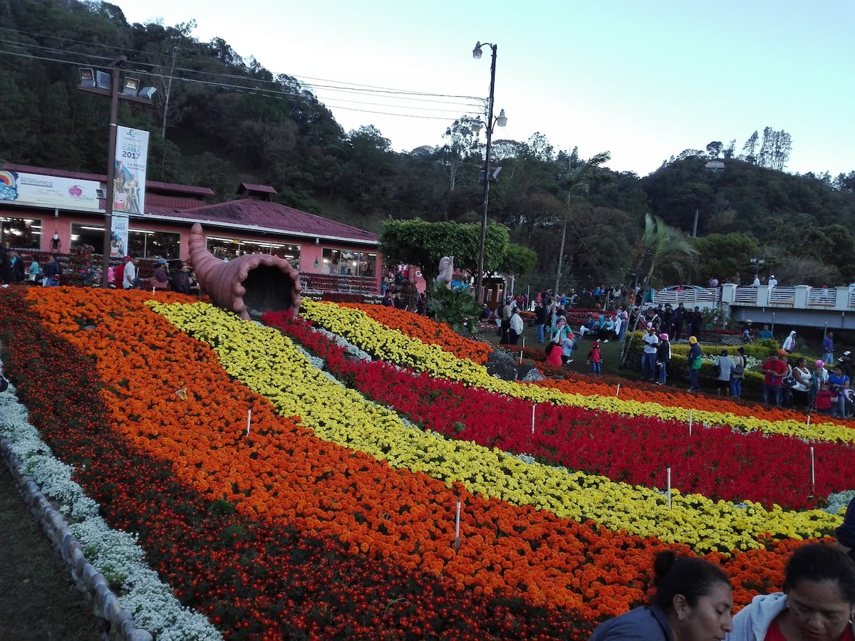 Arranca la feria de las flores y del café en Boquete