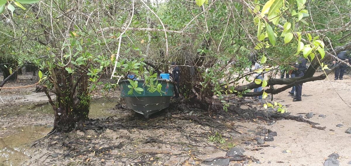 Policía Nacional decomisa cargamento de droga relacionada con matanza de vacamonte