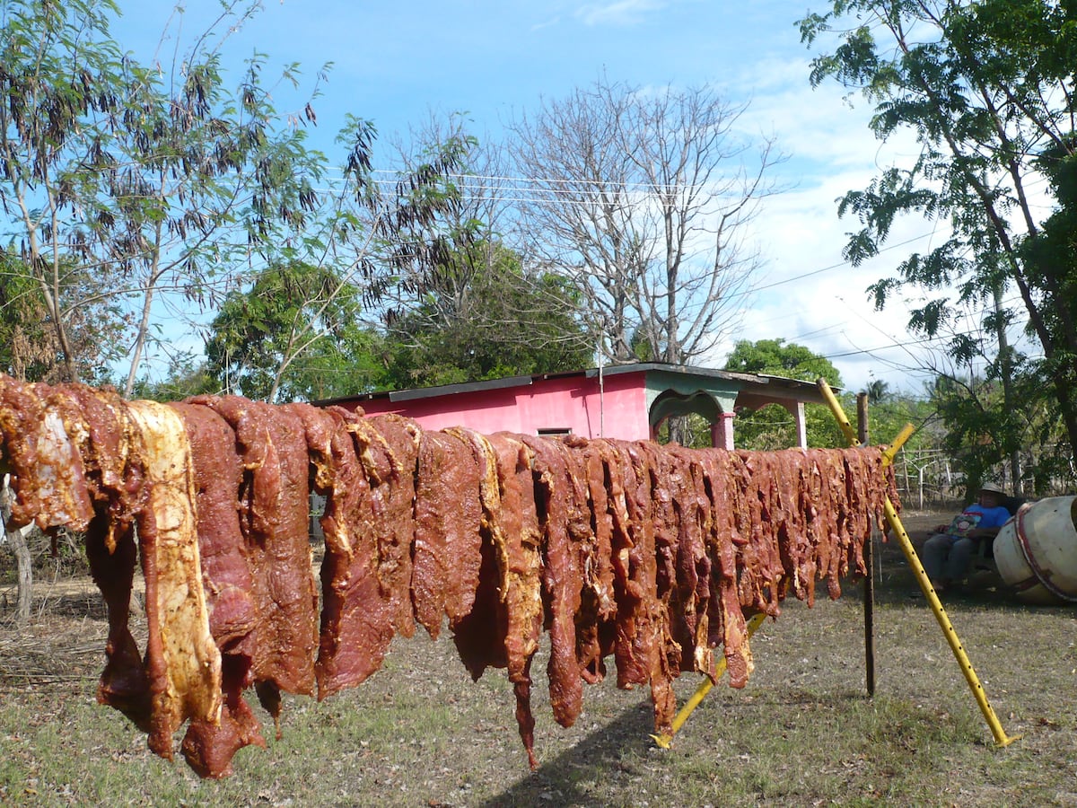 Mi Agro. Ganaderos en Los Santos suplen de carne bovina al país