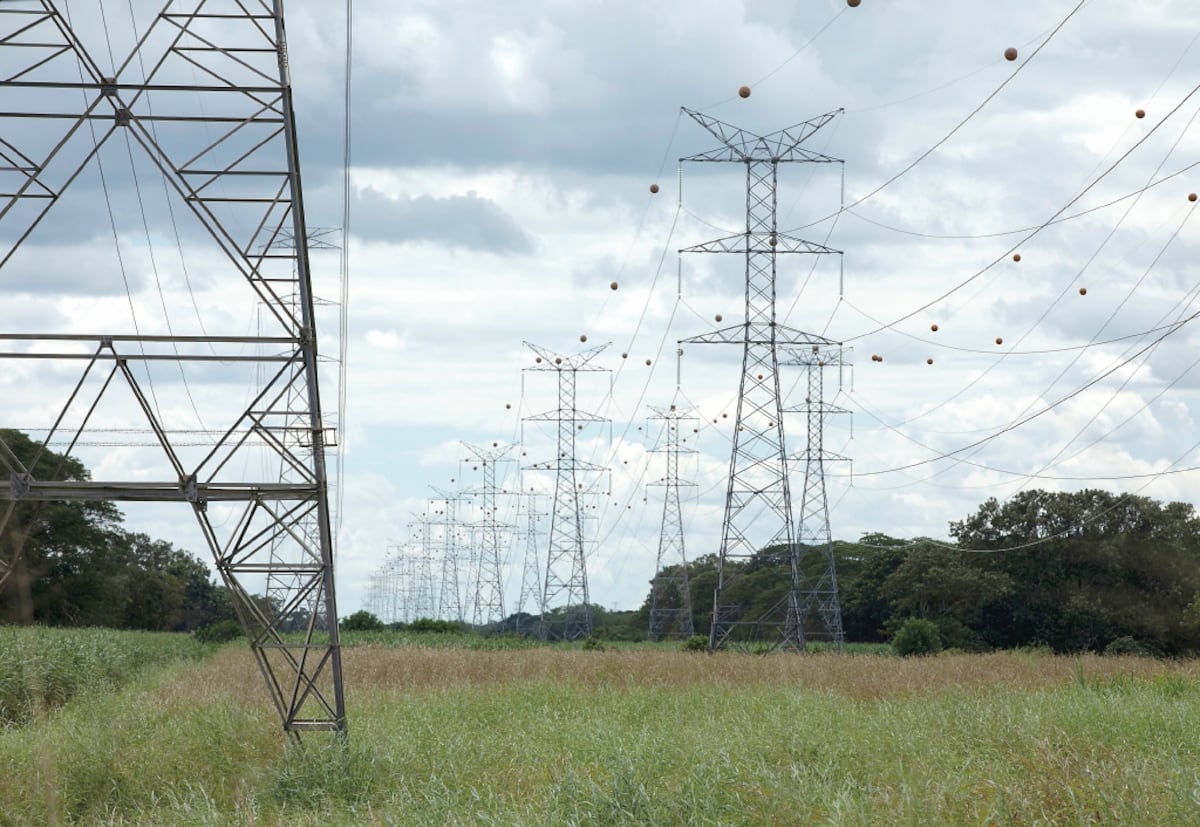 Mulino denuncia distorsiones en el mercado energético y busca frenar el aumento de la tarifa eléctrica