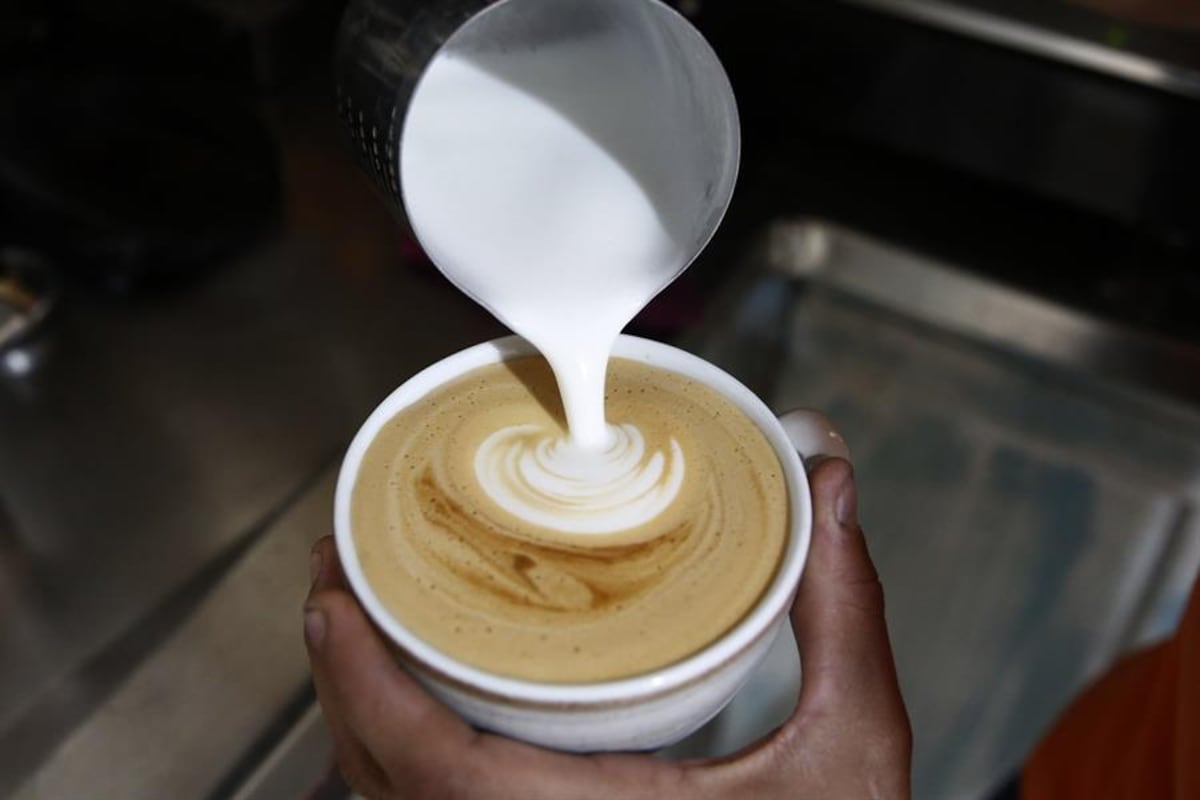 El lujo en una taza: Café Geisha de Panamá bate récord mundial, vendido por más de 13 mil dólares el kilo