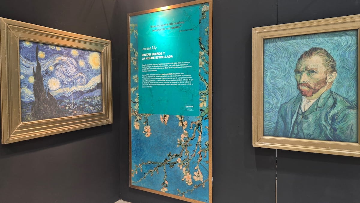 ¿Te imaginas entrar a un cuadro de Van Gogh? Así es la experiencia inmersiva que sorprende a sus visitantes en Los Andes Mall